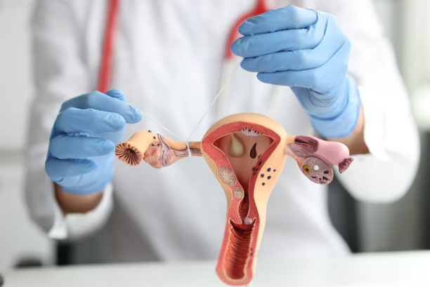 Microsurgical Recanalization